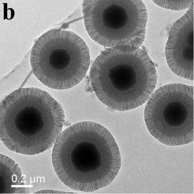 Magnetic Mesoporous Microspheres