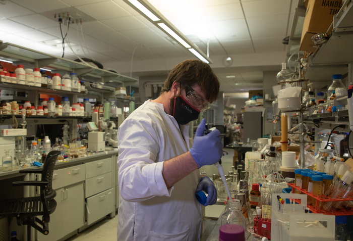 Searching sea life for new therapeutics