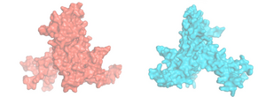 Side by side comparison of ribosomes
