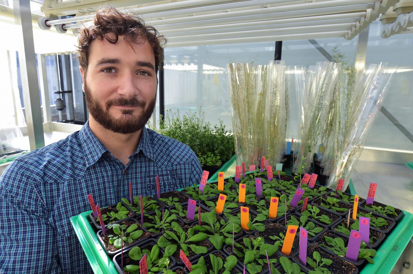 Florian R&uuml;mpler, Friedrich-Schiller-Universitaet Jena