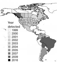 Spread of West Nile Virus in the Americas