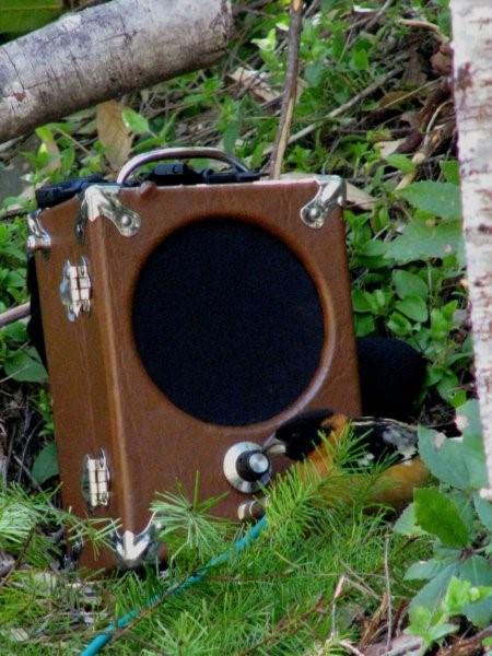 New Species Take Longer to Arise in the Amazon