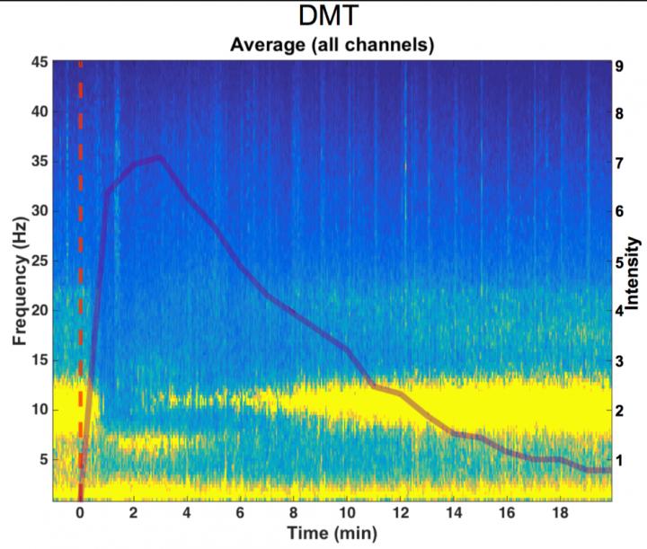 Brainwaves Measured by EEG During DMT