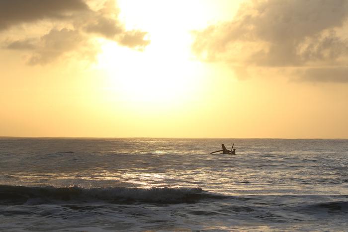 Adventurous Fishing Amidst a Warming Ocean