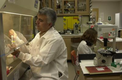 Dr. Saleh Naser, 	University of Central Florida 