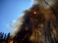 An Experimental Forest Fire in Canada, Simulating an Intense Wildfire