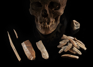Male skull and stone tools from Groß Fredenwalde (Germany)