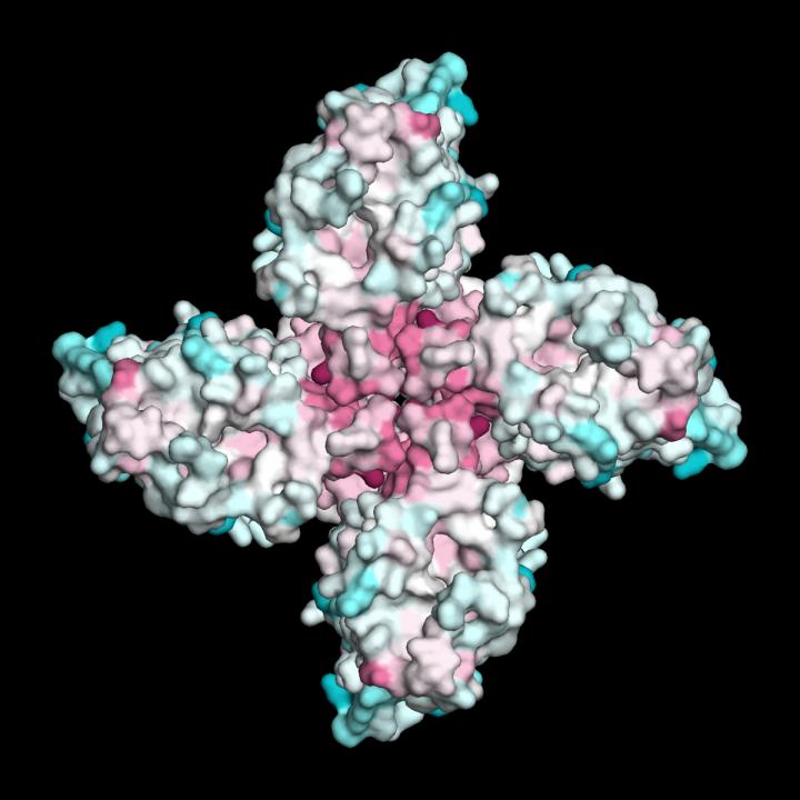 Insects' Ability to Smell is Phenomenally Diverse, a New Protein  Structure Hints at How