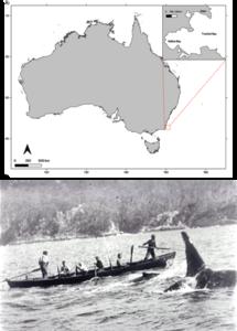 Map of Twofold Bay, NSW.