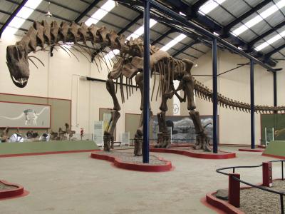 The 40-Meter Cretaceous <i>Agentinosaurus</i> Dinosaur Skeleton