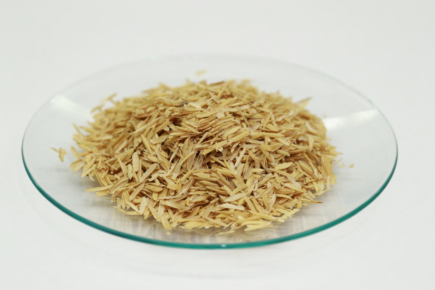 Raw Rice Husks Can Be Treated And Used To Remove Microcystin From Water