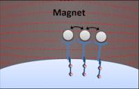 Nanoscale Artificial Antigen Presenting Cells with Magnetic Field