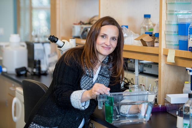 Sandra Rieger, MDI Biological Laboratory