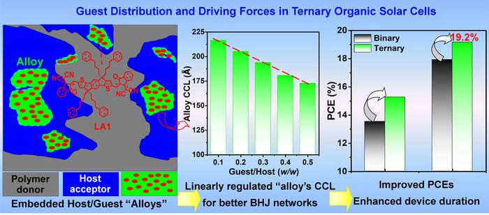 Illustration of the embedded host/guest ‘alloys’ aggregations in ternary-component active layer