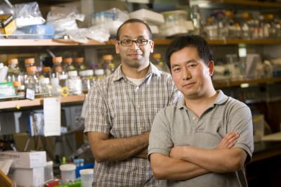 Anand Pai and Lingchong You, Duke University