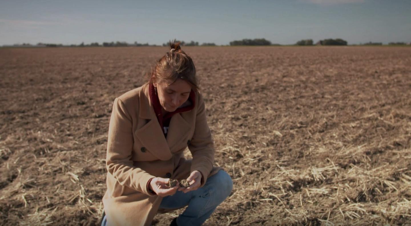 Violette Geissen, University of Córdoba
