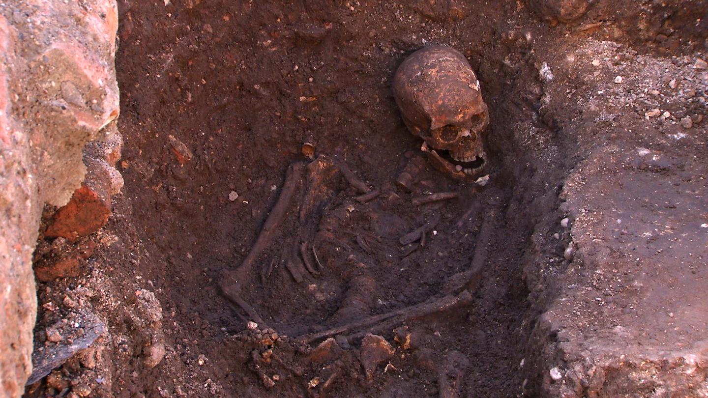 Remains of Richard III