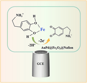 Schematic image shows the preparation process and detection principle of AuPd@Fe2O3 NPs/GCE.