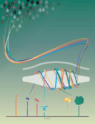 Individual Ion Mass Spectrometry