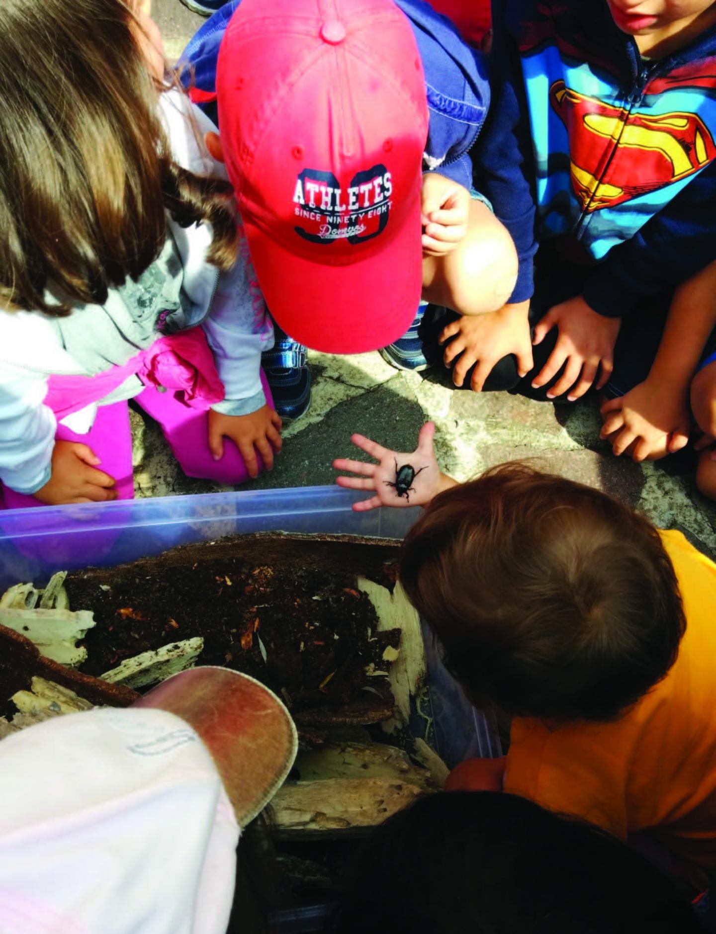 Dissemination Activities Involving Children