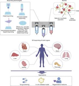 3D bioprinting of solid organs