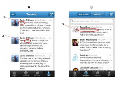 Screenshots of Shiffman Tweets