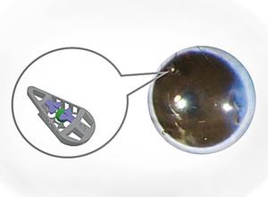 Close-up of microdevice and placement in mouse eye