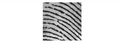 Prototype in Precision