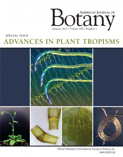 Scientists join forces to bring plant movemen | EurekAlert!