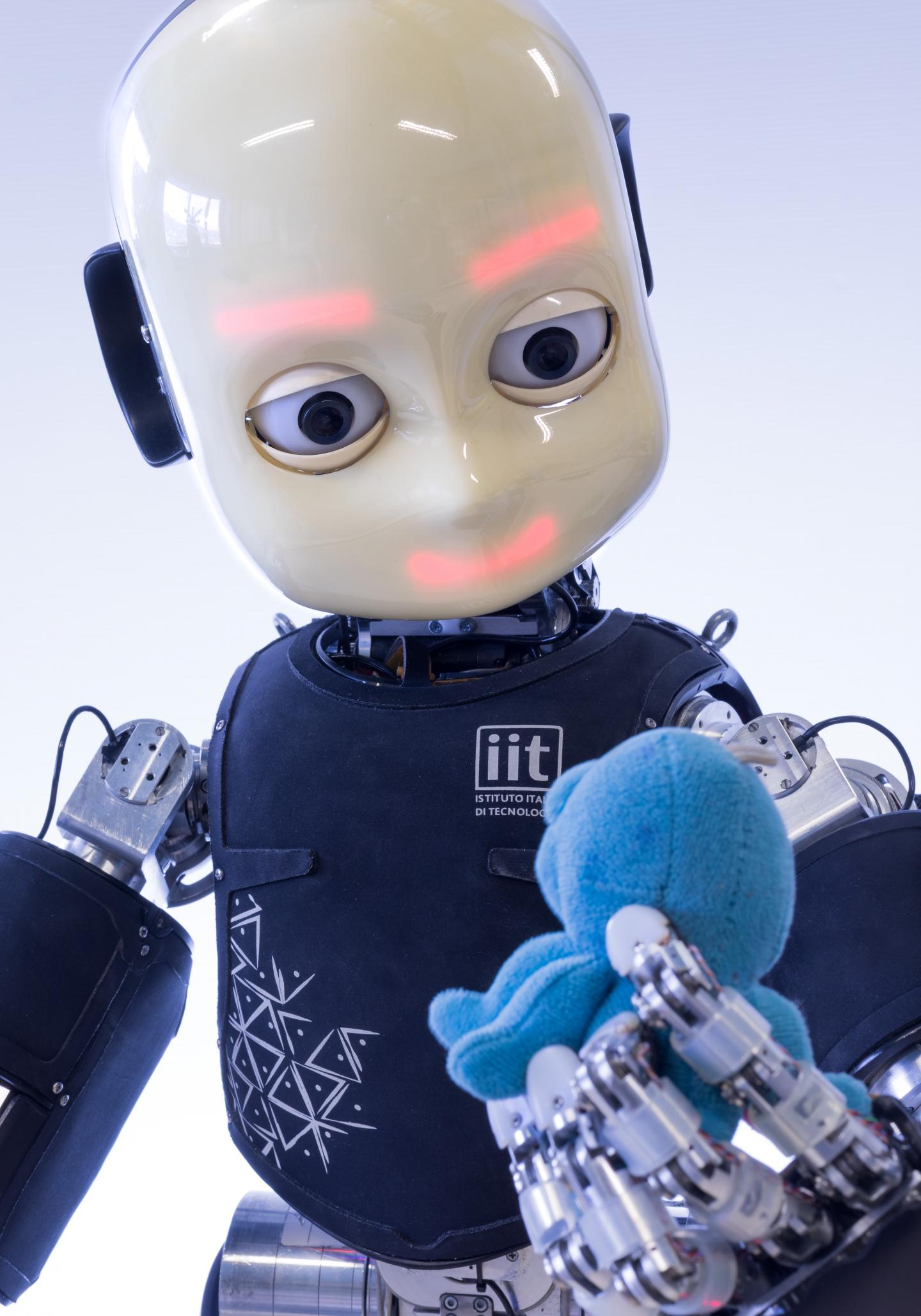 iCub Humanoid Robot