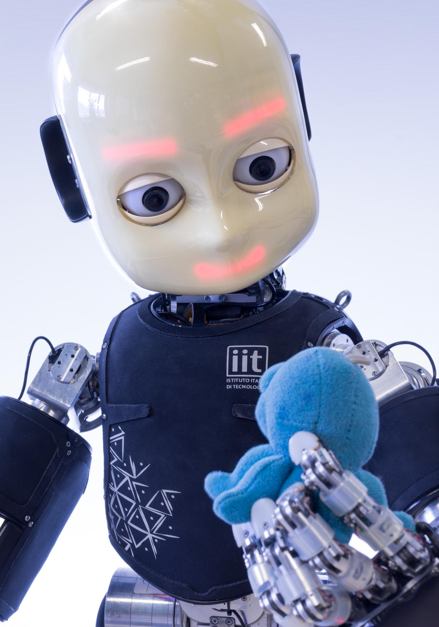 Robot: iCub