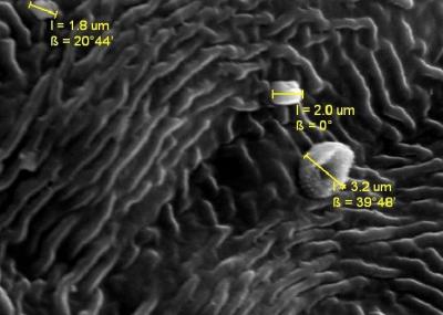 Housen Magpart (2 of 2)