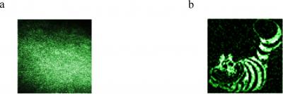 Single-Pixel System Overcomes Light Scattering