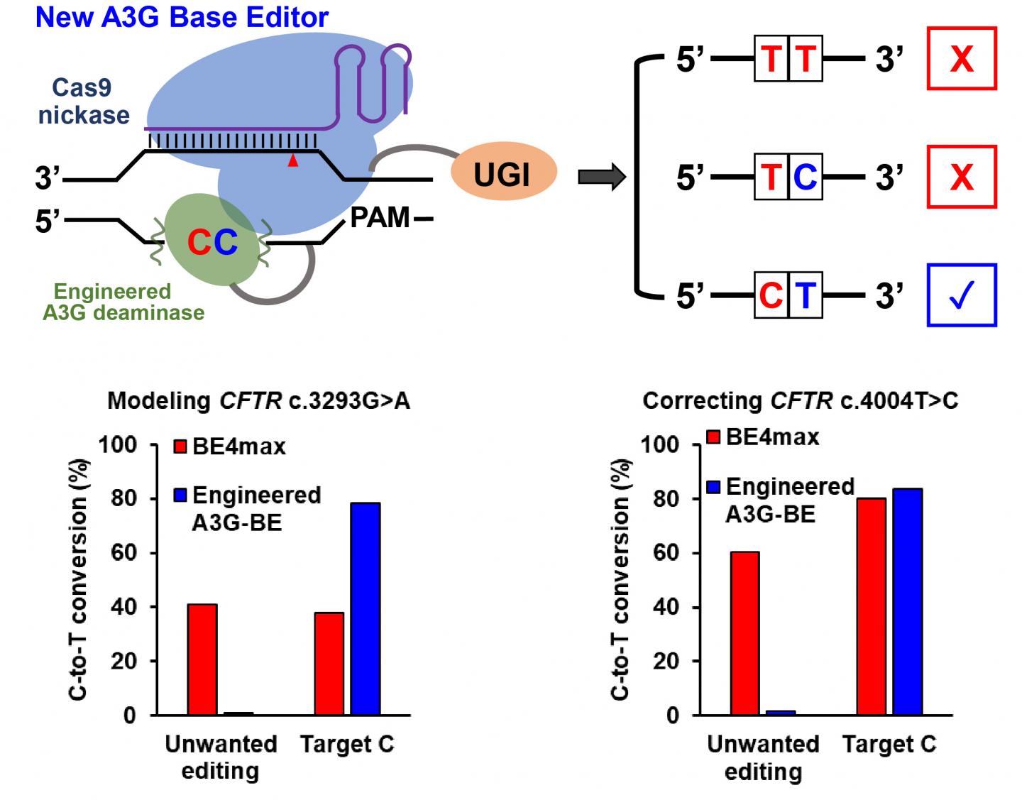 CRISPR 2