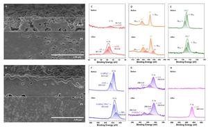 CP-SEM images and XPS patterns of co-coated separators: cross-section of (A) before and (B) after the formation reaction; XPS patterns of LATP coating layers: (C) lithium, (D) titanium, (E) phosphorus, (F) oxygen, (G) carbon and (H) fluorine.