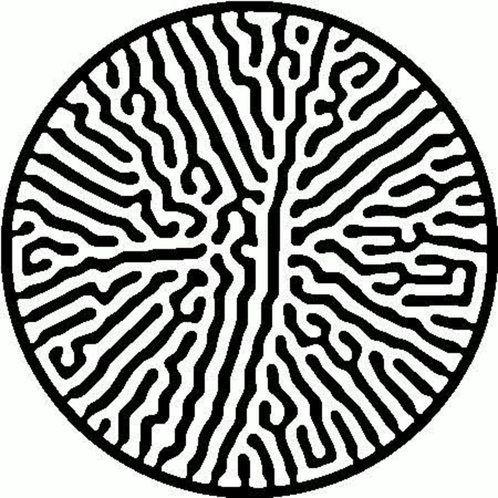 Bacteria-Encoded Message