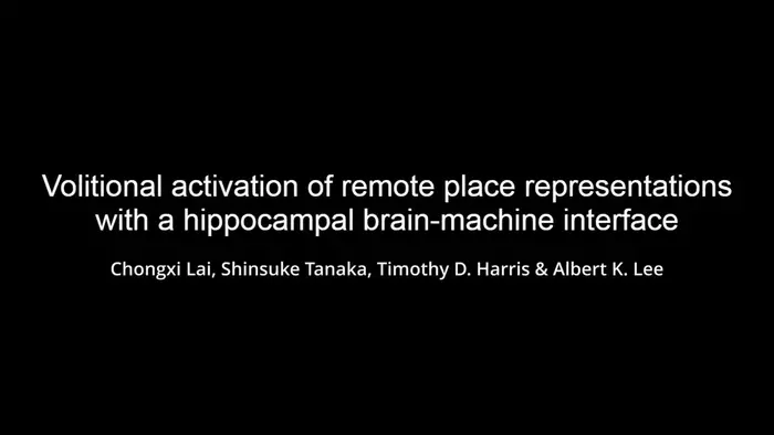 Hippocampal brain-machine interface (part 1)