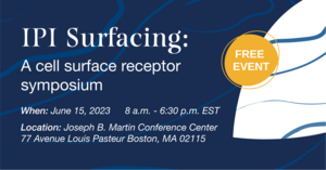 IPI Surfacing