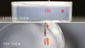 DASP Process Top and Lateral View