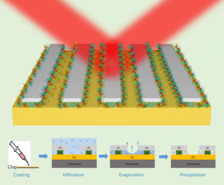 High-Sensitivity Nanophotonic Sensors with Passive Trapping of Analyte Molecules in Hot-Spots