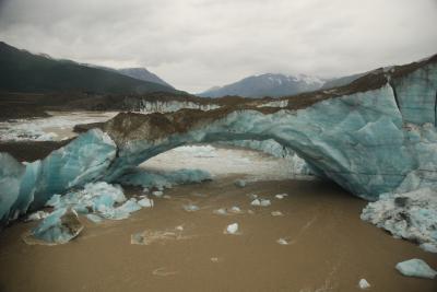  Top Predators Key to Extinctions as Planet Warms (3 of 3)