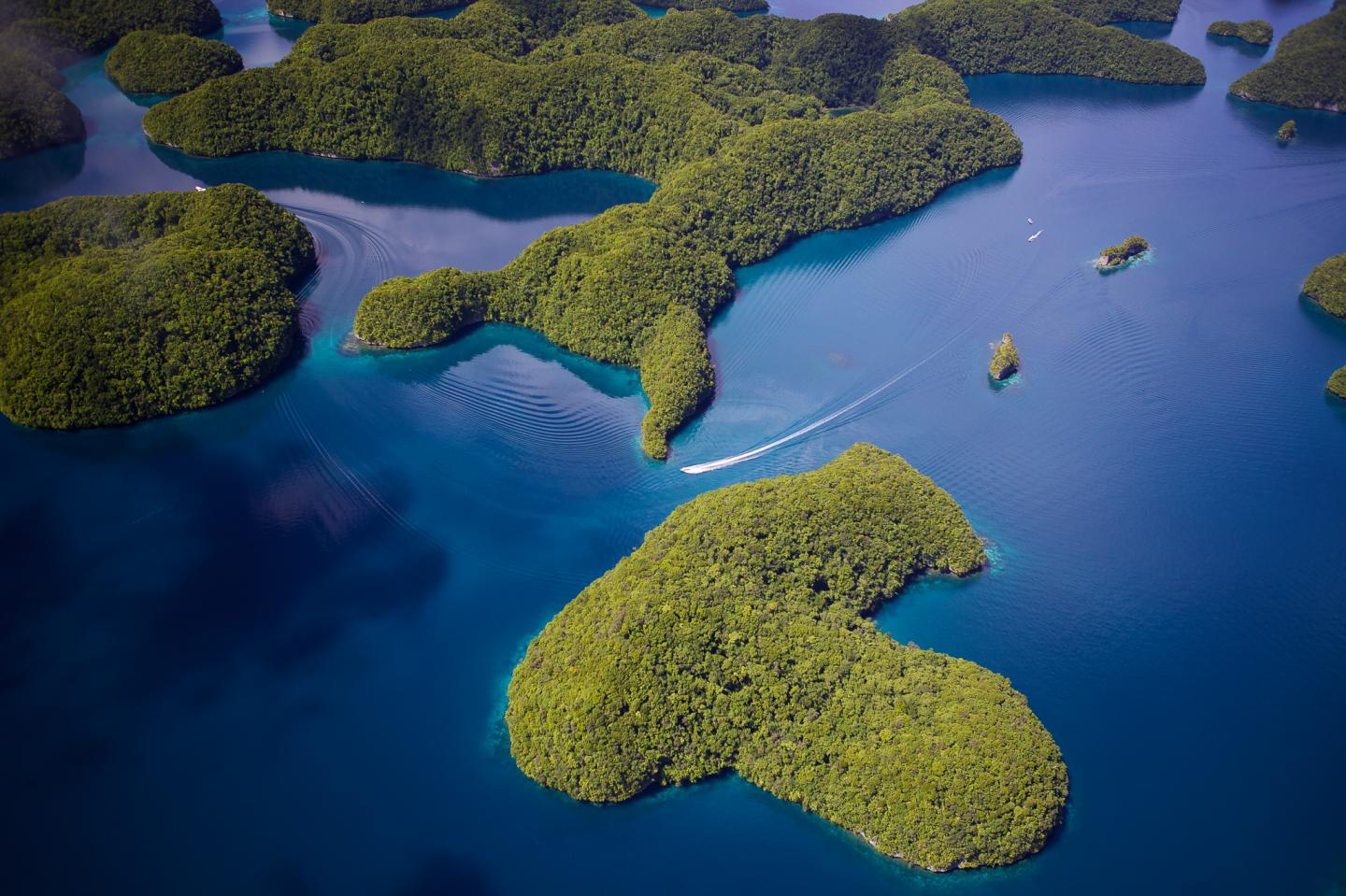 The Rock Islands of Palau