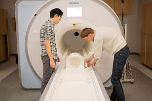 Preparing fMRI scanner to record brain activity