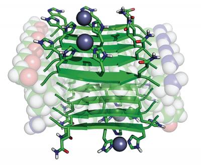 Catalytic Amyloid-forming Peptide