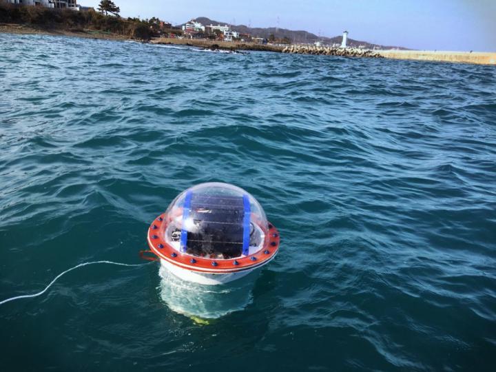 Seawater battery-based smart buoy