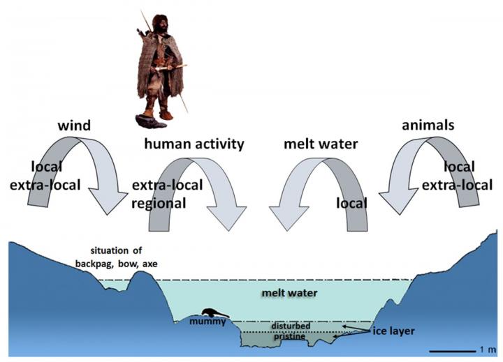 Alongside Ötzi the Iceman: a Bounty of Ancient Mosses and Liverworts