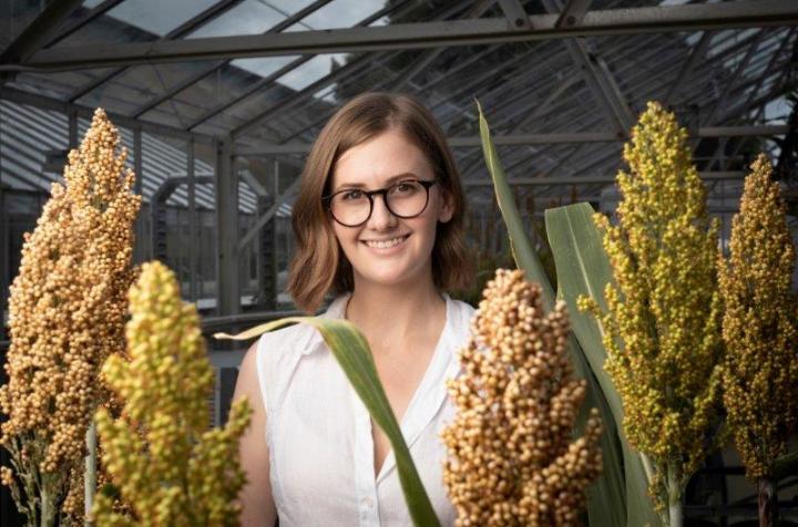 Dr Karen Massel in glasshouse with gene edited sorghum