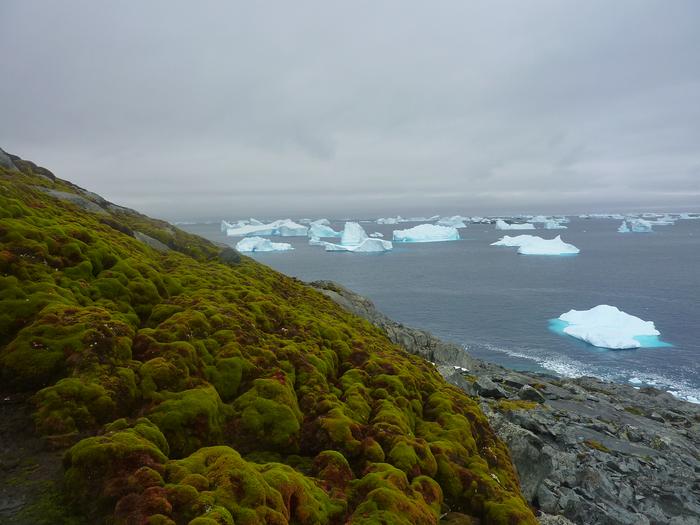 Green Island