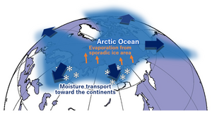 Warming in the Arctic increases snowfall