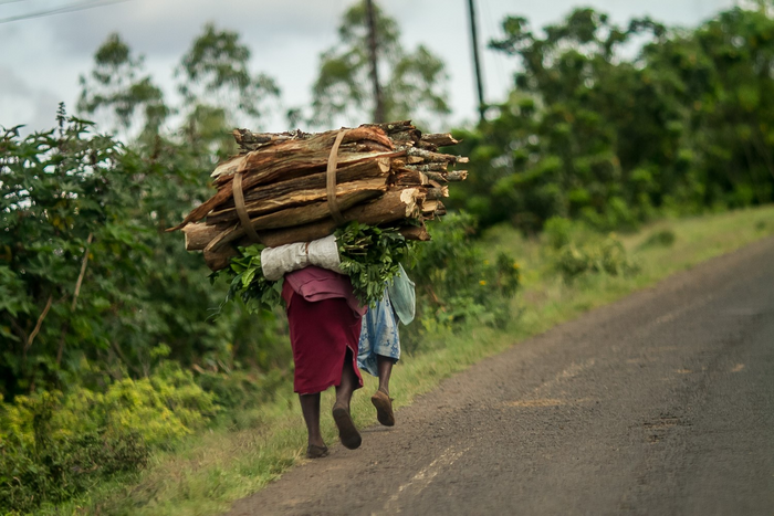 Gathering firewood for cooking